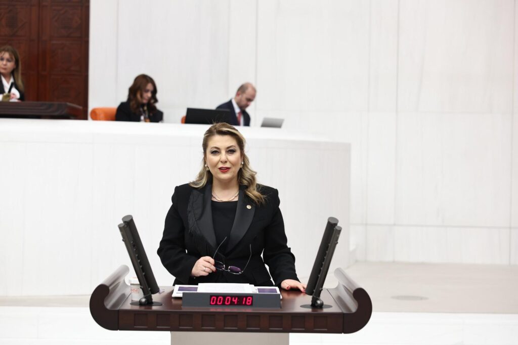 Elvan Işık Gezmiş: Kadın ölümleri neden araştırılmıyor? – Birlik Haber Ajansı