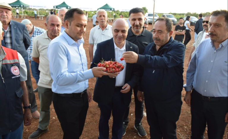Mardin Ömerli’de doğa ve kültür buluştu – Birlik Haber Ajansı