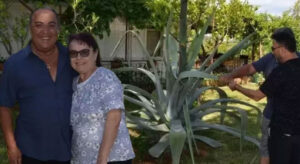 Antalya’da 100 yılda bir çiçek açan ağaç bulundu – Birlik Haber Ajansı