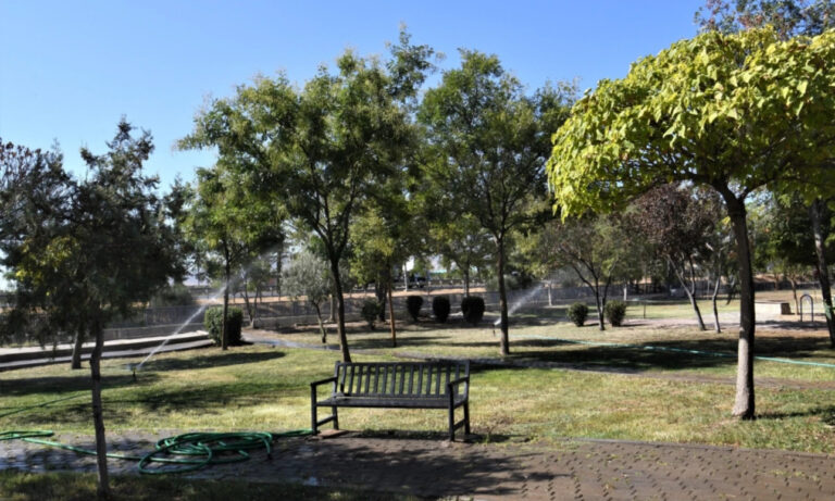 İzmir Bornova’dan ‘Yeşil Dönüşüm’ hamlesi – Birlik Haber Ajansı