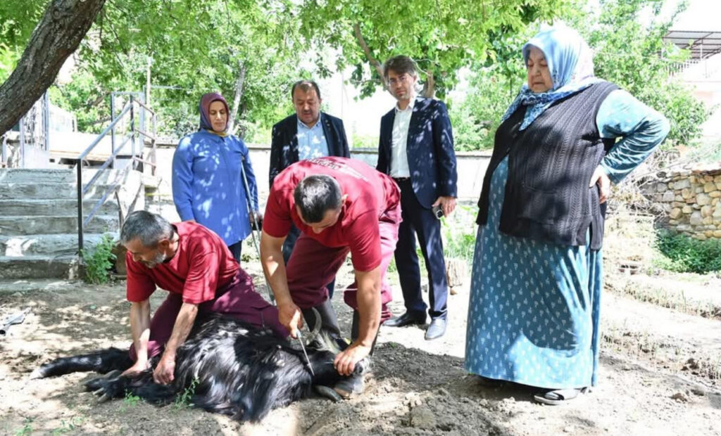 Evlere giderek tek tek kurbanları kestiler – Birlik Haber Ajansı