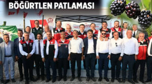 Batman böğürtlen diyarı oldu – Birlik Haber Ajansı