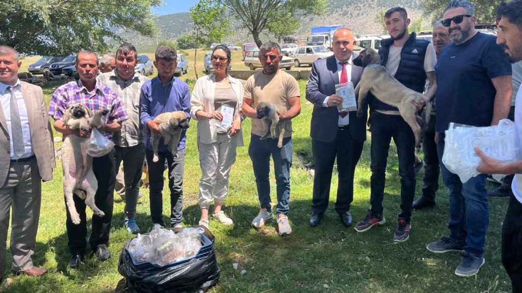 Isparta’da kurt sorununa çoban köpeği çözümü – Birlik Haber Ajansı