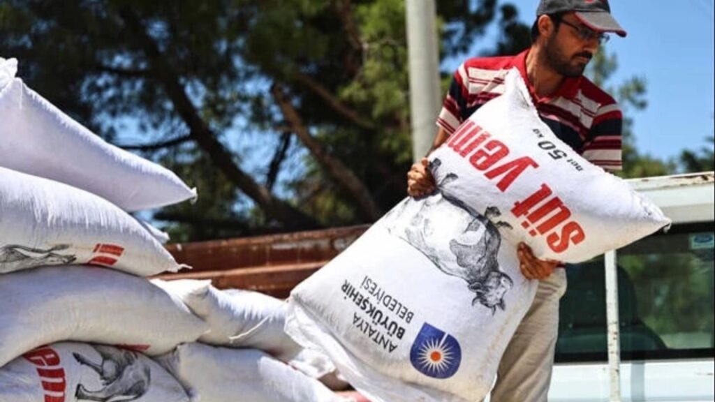 Antalya’da yem desteğiyle süt üretimine güçlü katkı – Birlik Haber Ajansı