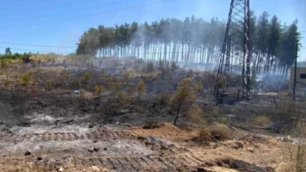 Antalya Aksu’da orman yangını kısa sürede söndürüldü – Birlik Haber Ajansı