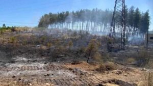 Antalya Aksu’da orman yangını kısa sürede söndürüldü – Birlik Haber Ajansı