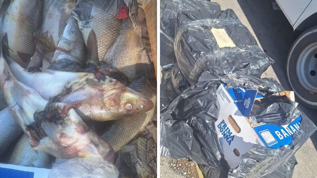 Antalya Otogarı’nda su ürünlerine denetim: 100 kg ürüne el konuldu – Birlik Haber Ajansı