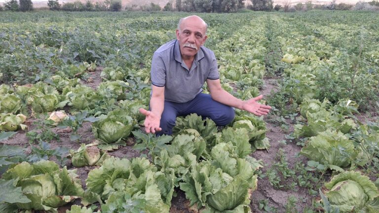 DP’li Atak: “Çiftçi üretiyor ama emeği tarlada kalıyor” – Birlik Haber Ajansı