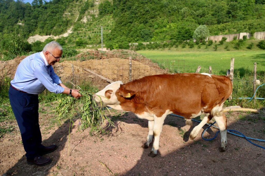 Ordu Büyükşehir’den besicilerin yüzünü güldüren hamle – Birlik Haber Ajansı