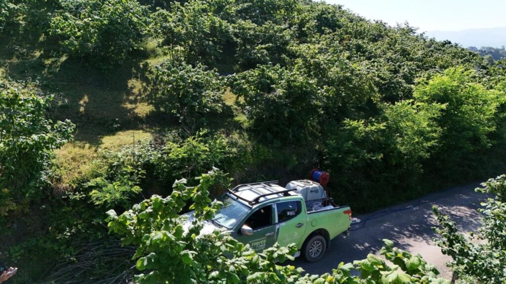 Fınver bahçelerinde kahverengi kokarca ile mücadele çalışmaları yapılıyor – Birlik Haber Ajansı