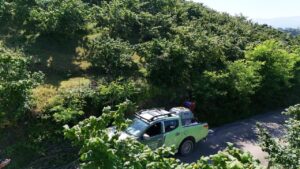 Fınver bahçelerinde kahverengi kokarca ile mücadele çalışmaları yapılıyor – Birlik Haber Ajansı