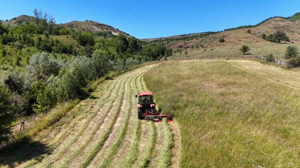 Türkiye, 7 tarımsal üründe dünya birinciliğini elinde tutuyor – Birlik Haber Ajansı