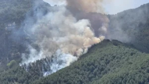 Beş ilde orman yangını: Ekipler havadan ve karadan müdahale ediyor – Birlik Haber Ajansı