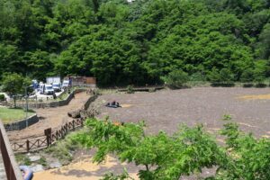 Başkan Genç: Temizlik çalışmaları bu akşam tamamlanacak – Birlik Haber Ajansı