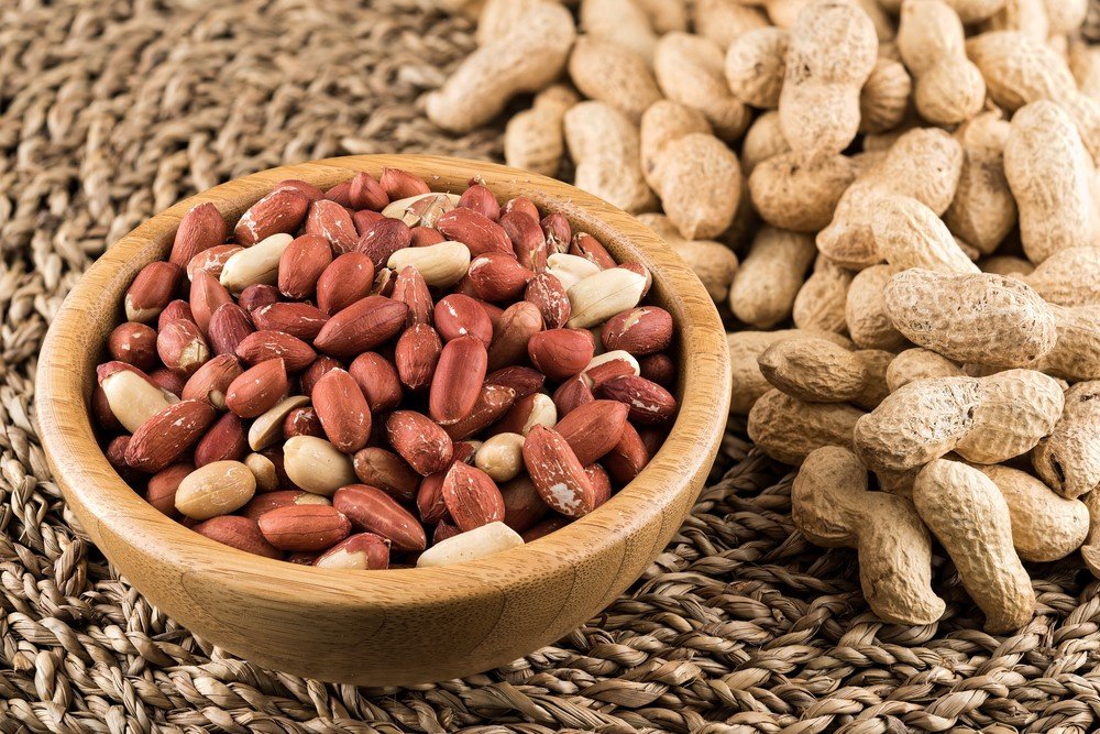 Kuruyemiş değil, bir baklagil: Yer fıstığı sağlığa gerçekten faydalı mı? – Birlik Haber Ajansı