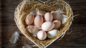 Türkiye’nin ABD’ye yumurta ihracatı 4 kat arttı – Birlik Haber Ajansı