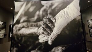 11/07/95 :Srebrenitsa Soykırımı’nın hafızası bu galeride – Birlik Haber Ajansı