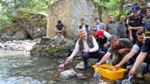 Artvin’de Hatila Vadisi Milli Parkı’ndaki dereye 5 bin alabalık yavrusu bırakıldı – Birlik Haber Ajansı