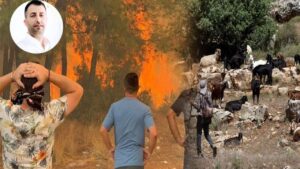 Bir kara keçinin yokluğu bin ağaç yakar – Birlik Haber Ajansı