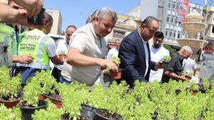 Mardin Midyat’ta fesleğen ve reyhan dağıtıldı – Birlik Haber Ajansı