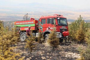 Amasya’da otluk alanda başlayan yangın ormana sıçradı: 20 dönüm alan küle döndü