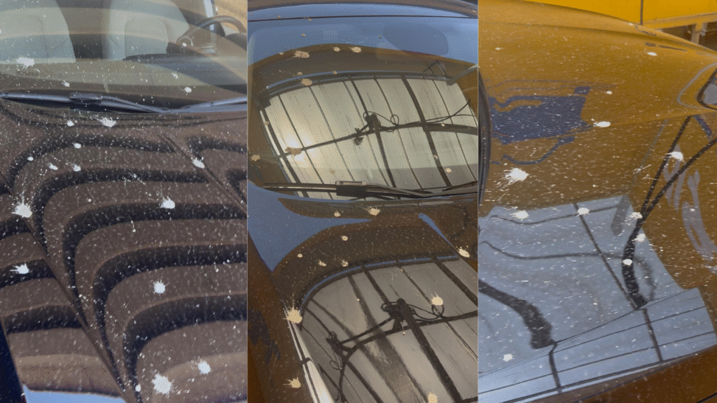 Kepezüstü kavşak inşaatında ihmal; Döküllen beton araçların üzerine saçıldı – Birlik Haber Ajansı