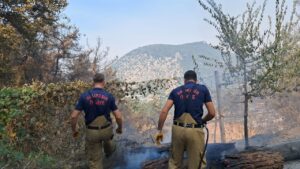 Balıkesir’den Bursa’ya yangınla mücadelede tam destek – Birlik Haber Ajansı