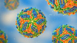 İtalya’da Batı Nil Virüsü vaka sayısı artışta – Birlik Haber Ajansı