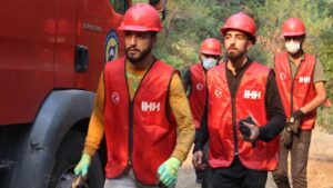 Bayırbucak’taki Türkmen Köylerinde Orman Yangınları Sürüyor – Birlik Haber Ajansı