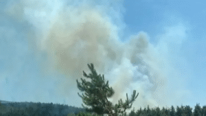 Hatay’daki orman yangınıyla ilgili gelişme: 1 şüpheli tutuklandı – Birlik Haber Ajansı