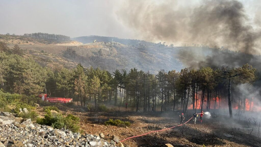 Kocaeli Büyükşehir Belediyesi’nden Bursa’daki yangına tam destek – Birlik Haber Ajansı