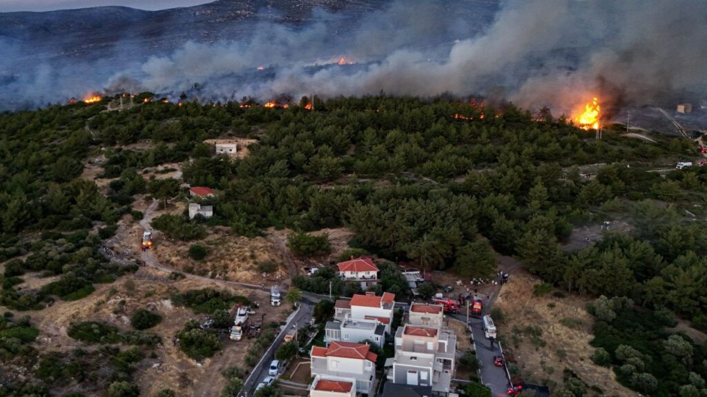 İzmir Buca’daki orman yangını kontrol altına alındı – Birlik Haber Ajansı
