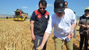 Amasya Gökhöyük Tarım İşletmesi’nde 2025 yılının ilk buğday hasadı gerçekleştirildi – Birlik Haber Ajansı