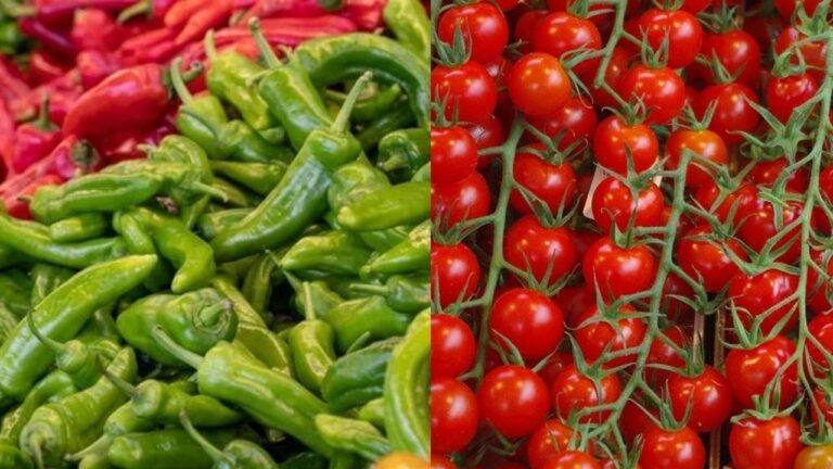 Sebze ihracatında ilk yarıda yüzde 10’luk artış – Birlik Haber Ajansı