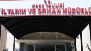 Kars Tarım ve Orman Müdürlüğü’nden şap açıklaması – Birlik Haber Ajansı