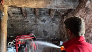 Susuz’da şap hastalığına karşı aşılama ve dezenfekte çalışmaları devam ediyor – Birlik Haber Ajansı