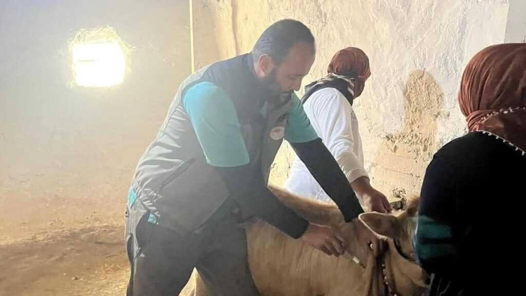 Kars Tarım ve Orman İl Müdürlüğü’nden hayvan sağlığında kararlı mücadele – Birlik Haber Ajansı