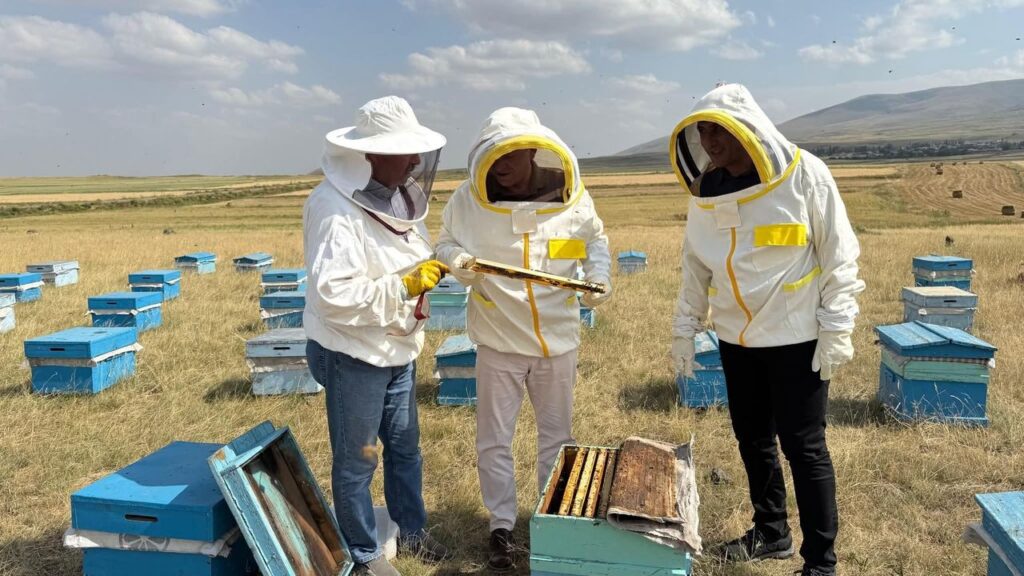 Kars Valisi Ziya Polat, bal sezonunun bereketli geçmesi temennisinde bulundu – Birlik Haber Ajansı