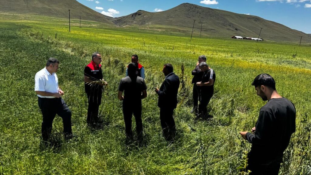 Kars Tarım ve Orman İl Müdürü Enver Aydın, Dolu Zararını Yerinde İnceledi – Birlik Haber Ajansı