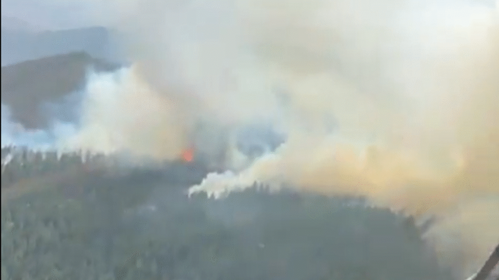 Çankırı’nın Yapraklı ilçesinde orman yangını: Müdahale sürüyor – Birlik Haber Ajansı