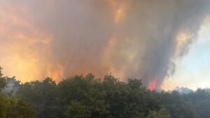 Sakarya'da peş peşe yangın!