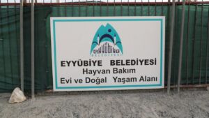 Eyyübiye, sokak hayvanları sorununu çözdü – Birlik Haber Ajansı