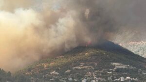 Hatay’da orman yangını – Birlik Haber Ajansı