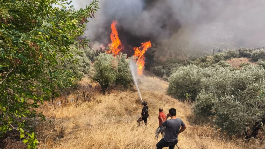 Hatay’da çıkan orman yangını kontrol altına alındı – Birlik Haber Ajansı