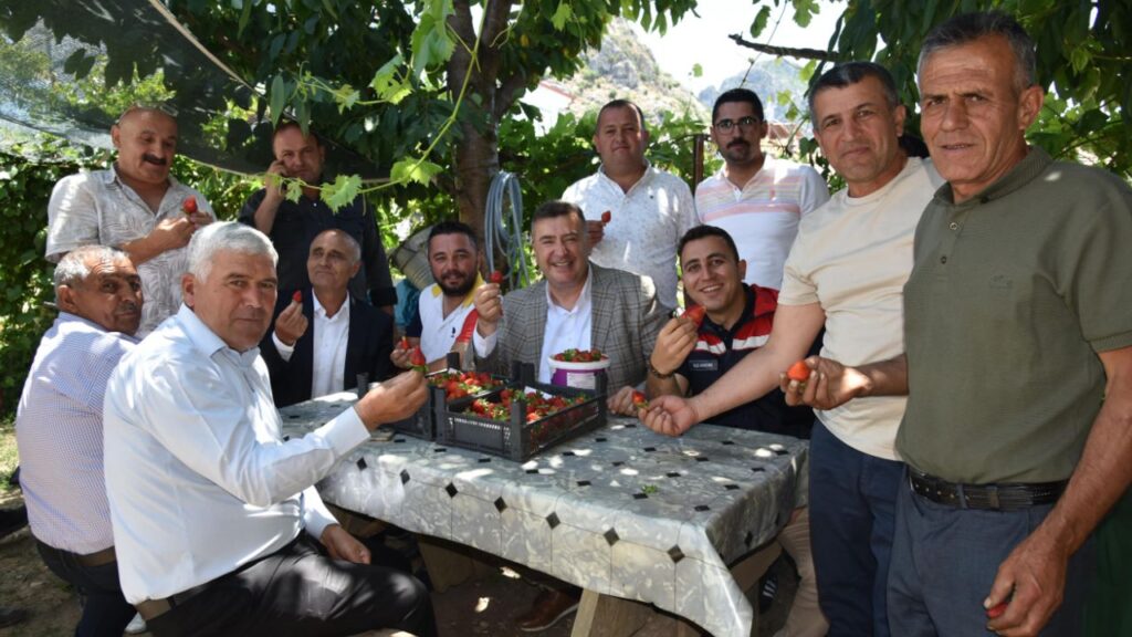 Eğirdir‘de topraksız toprakla çilek hasadı başladı – Birlik Haber Ajansı