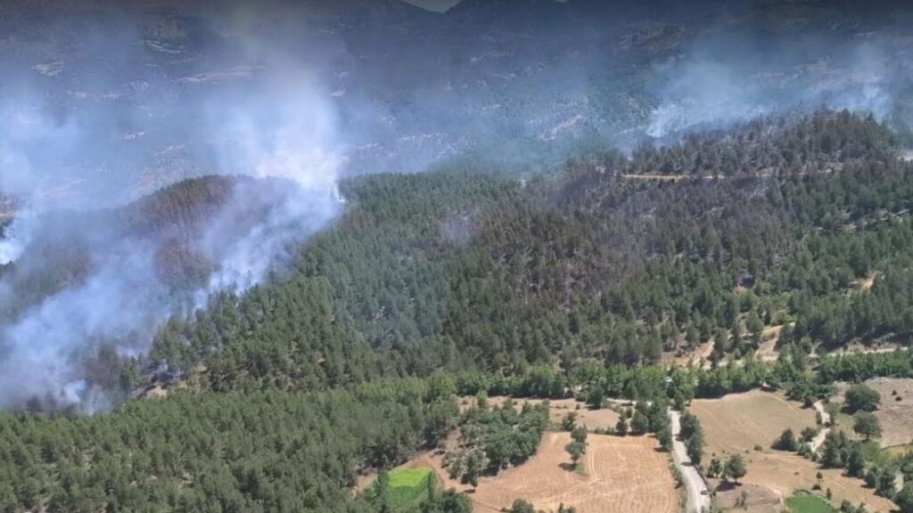 Isparta’da korkutan yangın kısa sürede kontrol altına alındı – Birlik Haber Ajansı