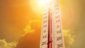 Bakan Kurum’dan sıcak hava uyarısı: Sıcaklıklar 6-12 derece artacak – Birlik Haber Ajansı