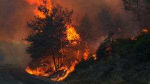 Seferihisar’da orman yangını: Müdahale havadan ve karadan sürüyor – Birlik Haber Ajansı