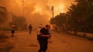 İzmir’in ciğerleri yandı: Ödemiş’te orman yangını üçüncü gününde – Birlik Haber Ajansı