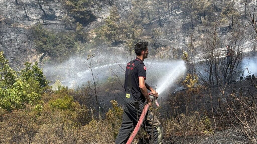 Kocaeli itfaiyesi Bursa’ya desteğe koştu – Birlik Haber Ajansı